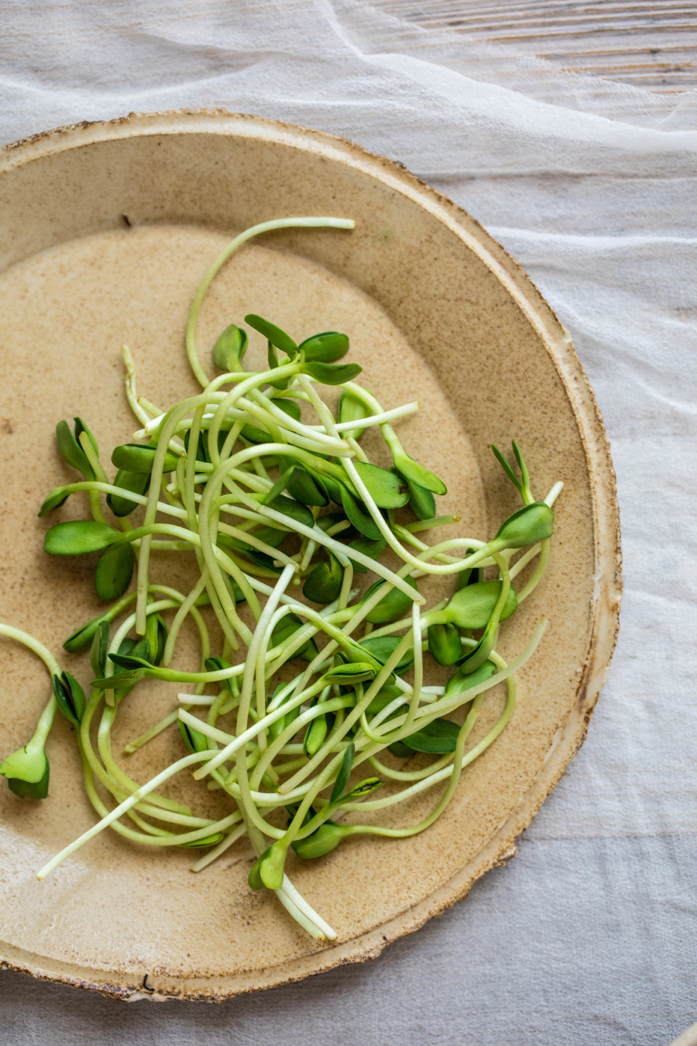 Fresh pea sprouts on beige plate.