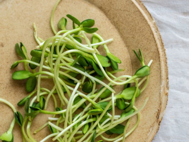 Fresh pea sprouts on beige plate.
