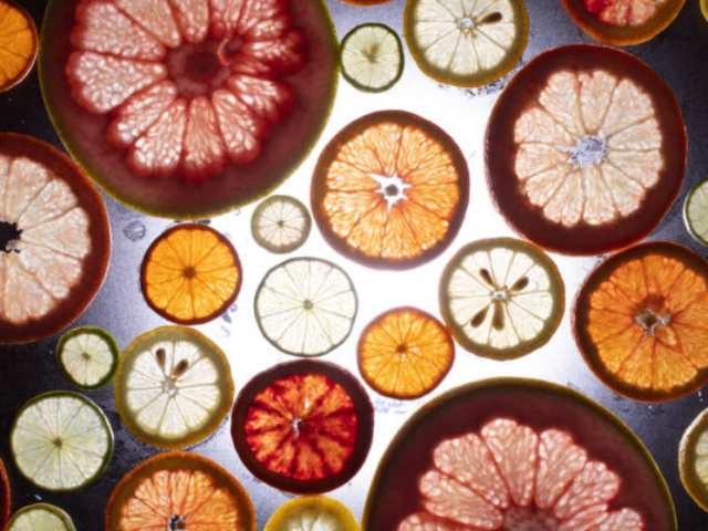 Artistic photograph of citrus